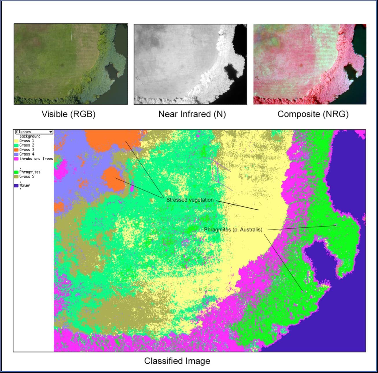 Invasive Species Detection using TwinCam imagery and MultiSpec software