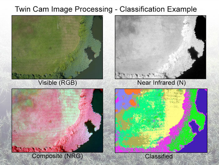 Twin-Cam-4-Up-Classification